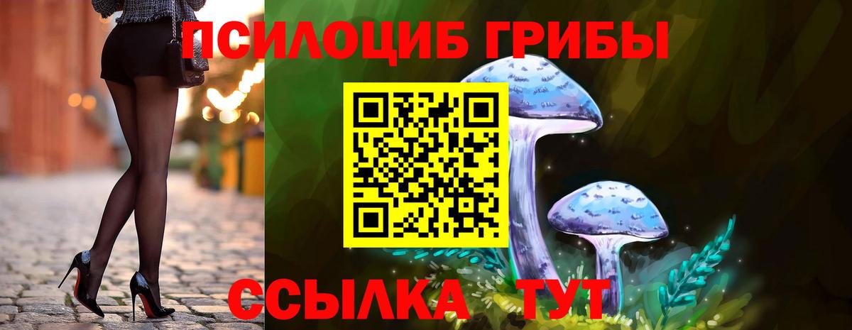 дарнет шоп  Псилоцибиновые грибы прущие грибы  Вход с VPN  Октябрьский 